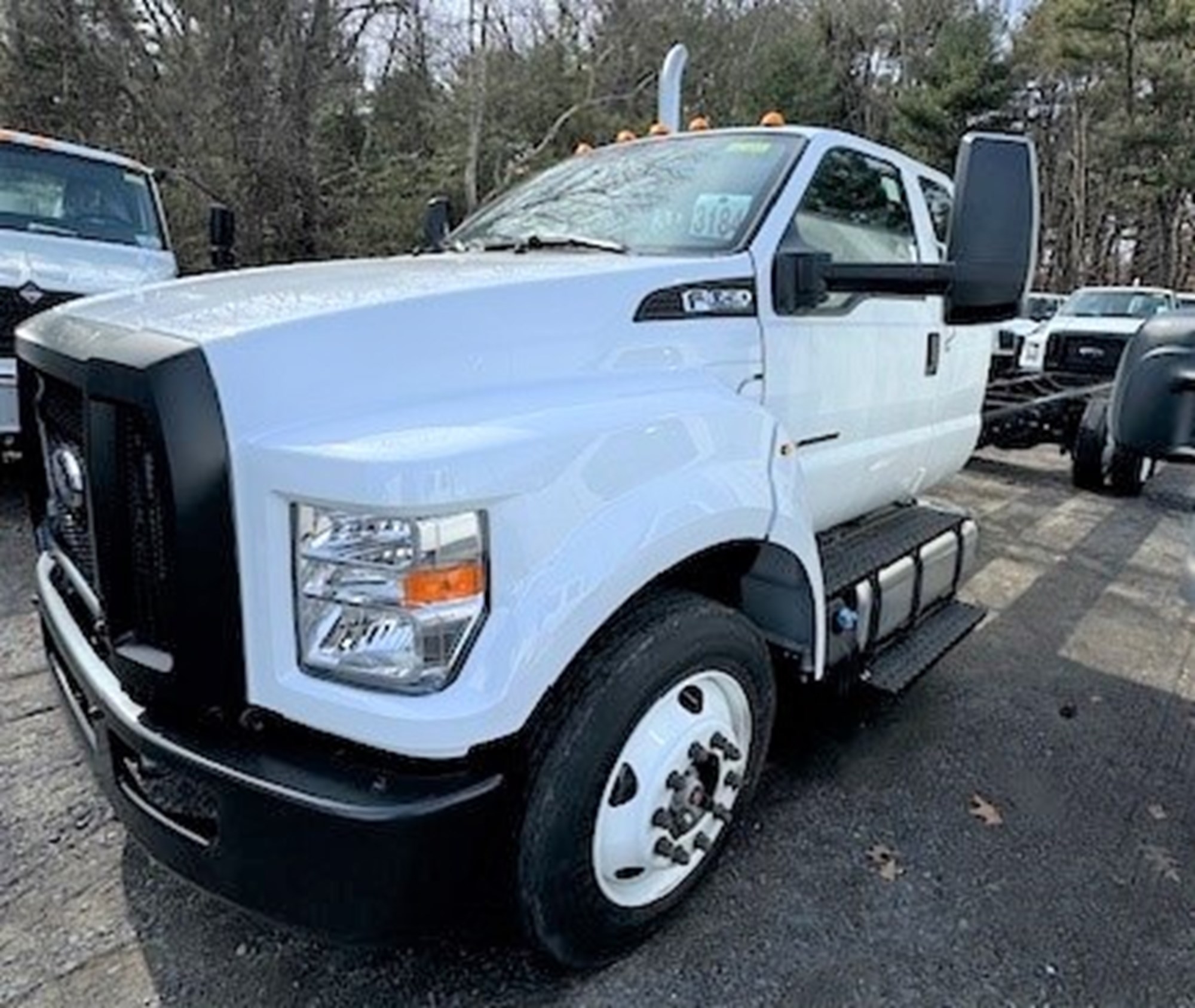 WALPOLE Allegiance Trucks